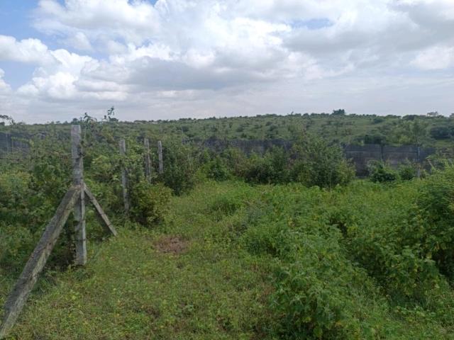 Land for sale in Haveli, National Capital Territory Of Delhi
