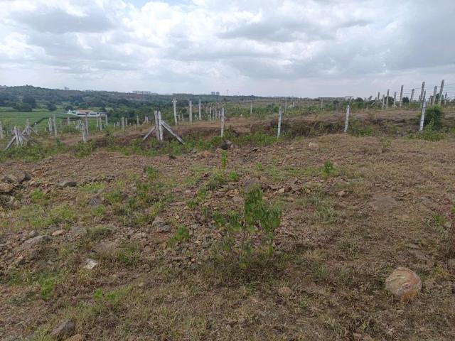 Land for sale in Haveli, National Capital Territory Of Delhi