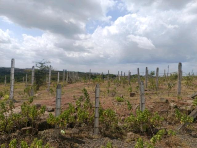 Land for sale in Haveli, National Capital Territory Of Delhi