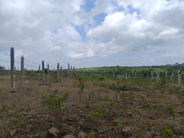 Land for sale in Haveli, National Capital Territory Of Delhi