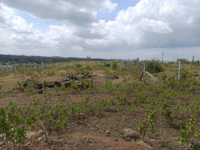 Land for sale in Haveli, National Capital Territory Of Delhi