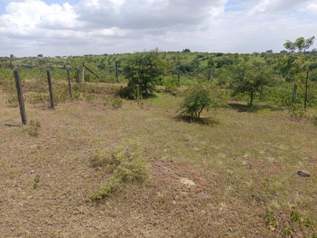 Land for sale in Haveli, National Capital Territory Of Delhi