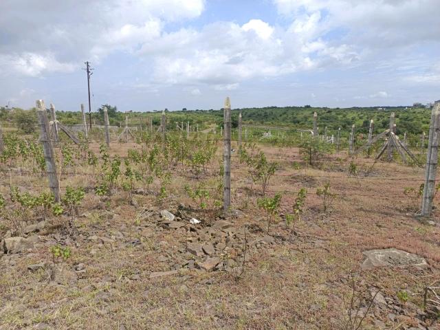 Land for sale in Haveli, National Capital Territory Of Delhi