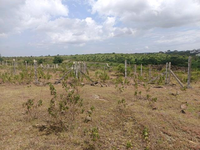 Land for sale in Haveli, National Capital Territory Of Delhi