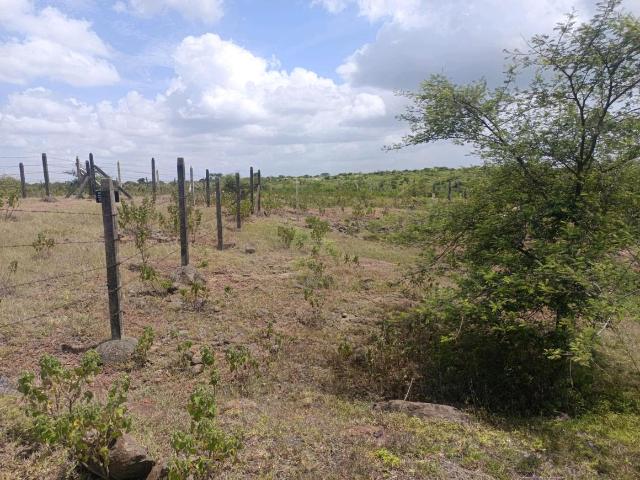 Land for sale in Haveli, National Capital Territory Of Delhi
