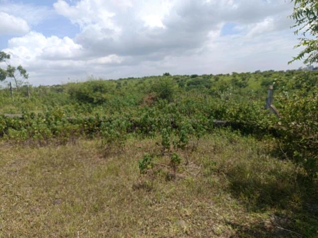 Land for sale in Haveli, National Capital Territory Of Delhi