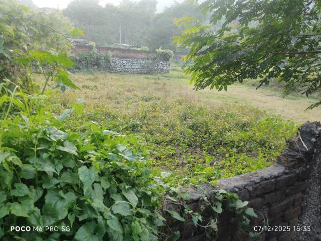 Land for sale in Assam