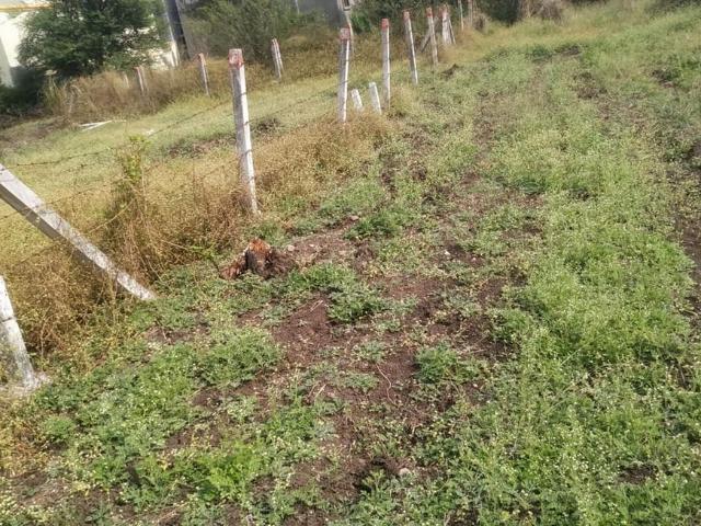 Land for sale in Haveli, National Capital Territory Of Delhi