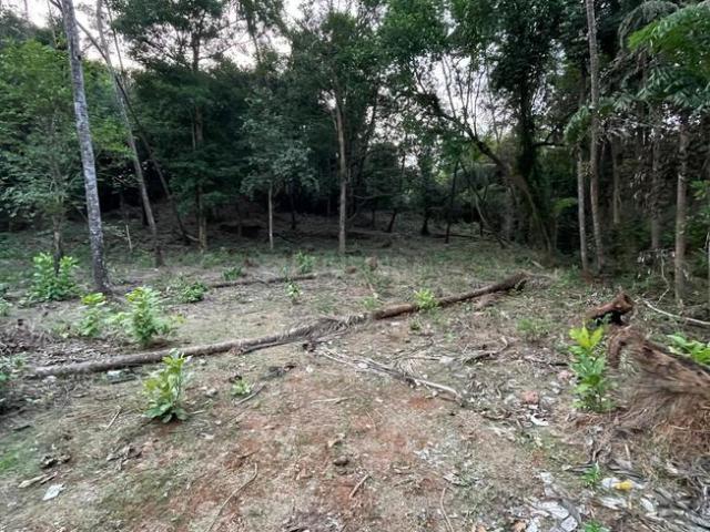 Land for sale in Raia, Goa