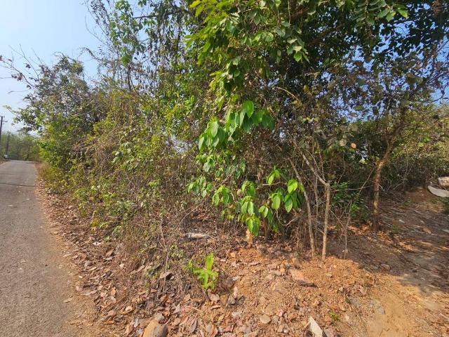 Land for sale in Macasana, Goa