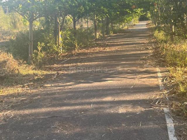 Land for sale in Karnataka