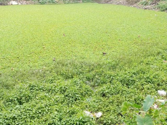 Land for sale in North 24 Parganas, West Bengal