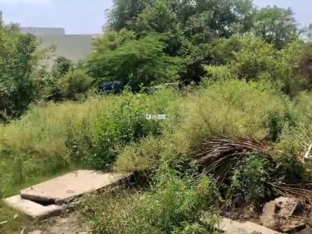 Land for sale in Lakhana, Arunachal Pradesh
