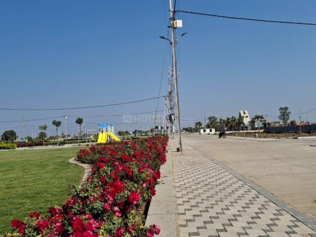 Land for sale in Madya