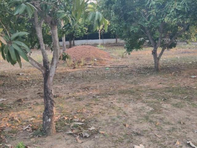 Land for sale in Mamallapuram, Tamil Nadu