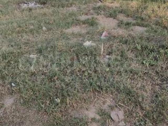 Land for sale in Madya