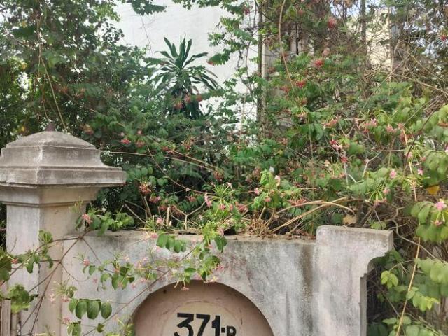 Land for sale in Madya