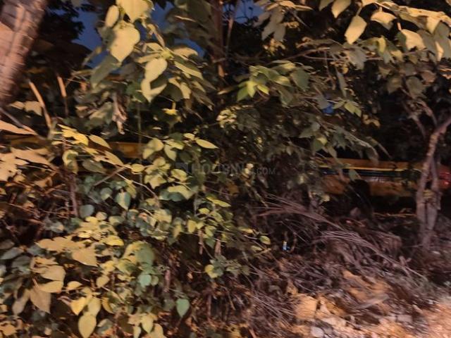 Land for sale in Bangalore North, Cox Town - Bangalore