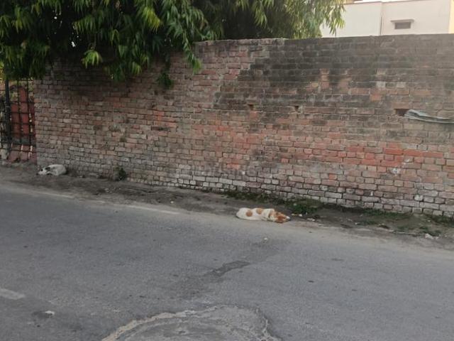 Land for sale in Lakhana, Arunachal Pradesh