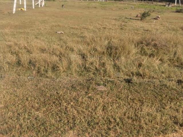 Land for sale in Tamil Nadu