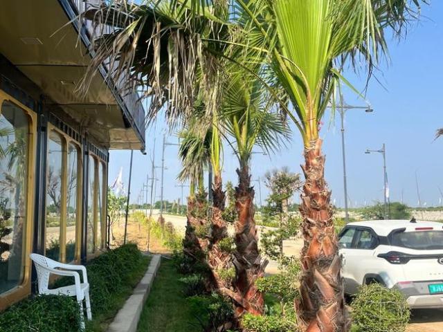 Land for sale in Mahlan, Jaipur