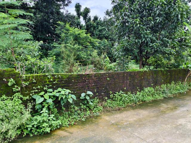 Land for sale in Kedarpur, Uttarakhand