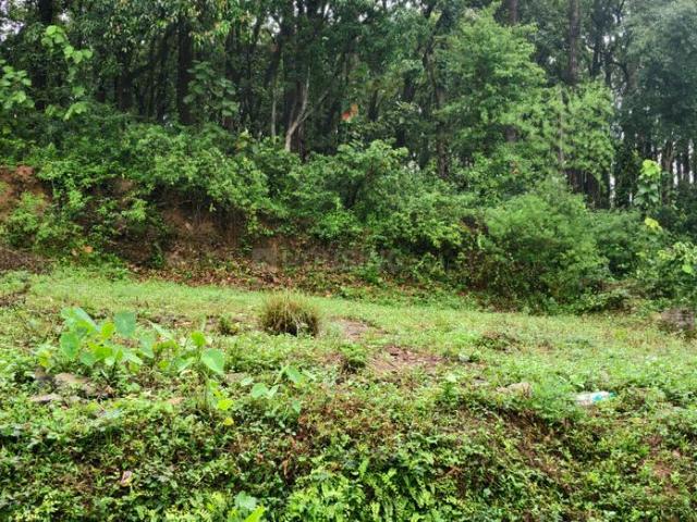 Land for sale in Kedarpur, Uttarakhand