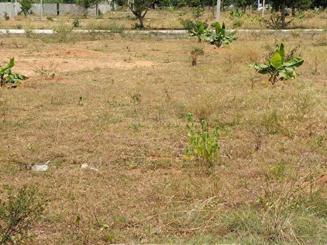 Land for sale in Malur, Karnataka