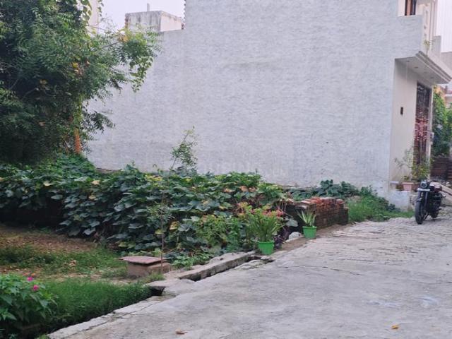 Land for sale in Jharli, Arunachal Pradesh