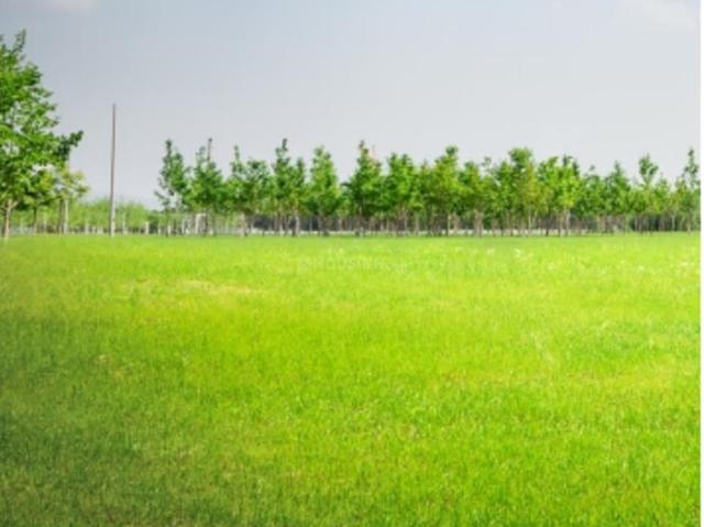 Land for sale in Haveli, National Capital Territory Of Delhi