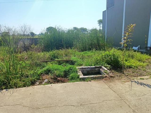 Land for sale in Madya