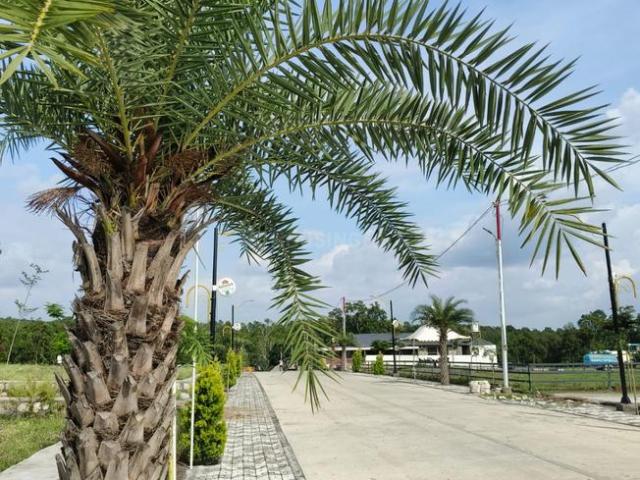 Land for sale in Sudhonwala Tarla, Uttarakhand