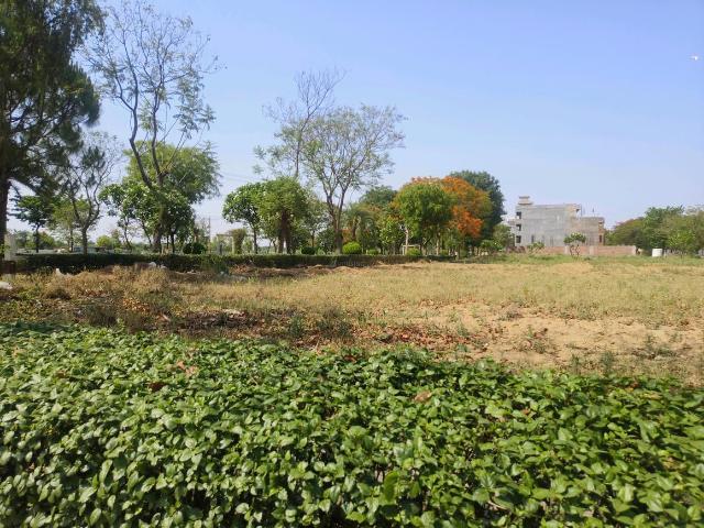 Land for sale in Hariana