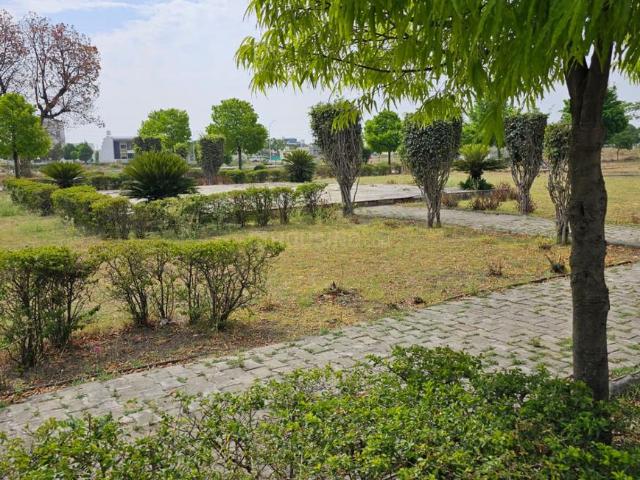 Land for sale in Madya