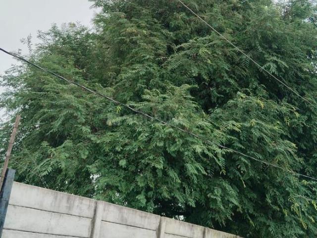 Land for sale in Ranga Reddy, Haidarabad