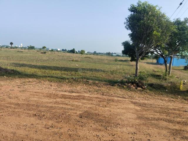 Land for sale in Pushpagiri, Kanchipuram