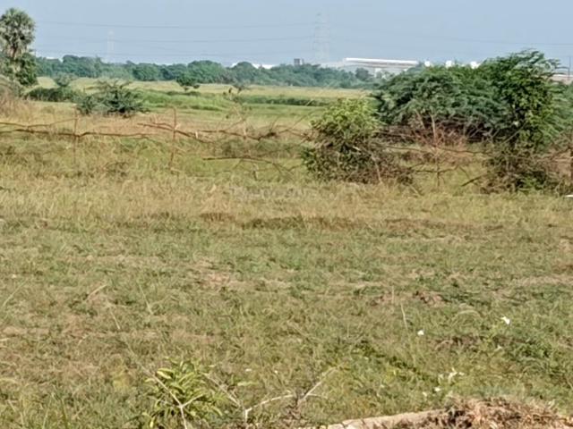 Land for sale in Pushpagiri, Kanchipuram