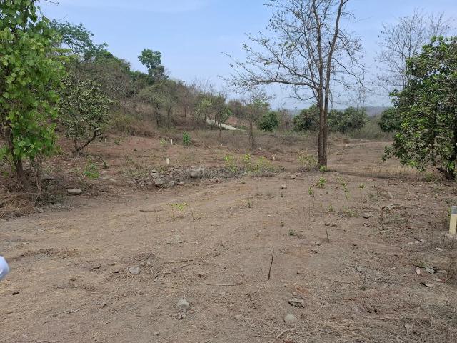 Land for sale in Murbad, National Capital Territory Of Delhi