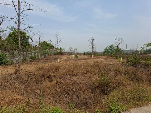 Land for sale in Murbad, National Capital Territory Of Delhi