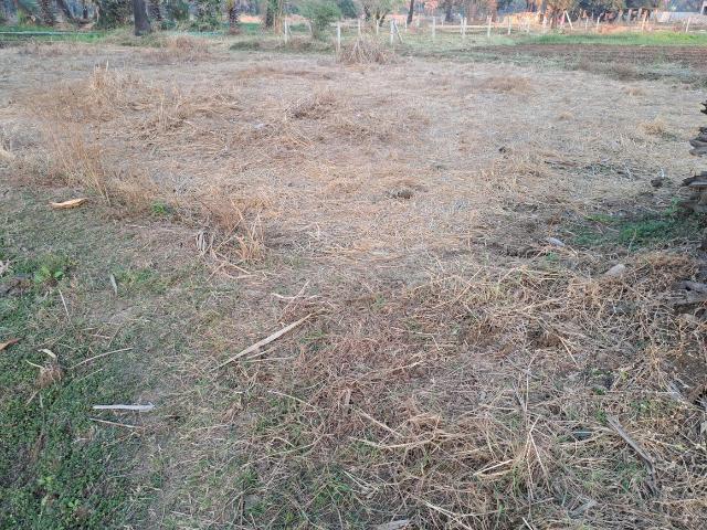 Land for sale in Andheri - Mumbai, National Capital Territory Of Delhi