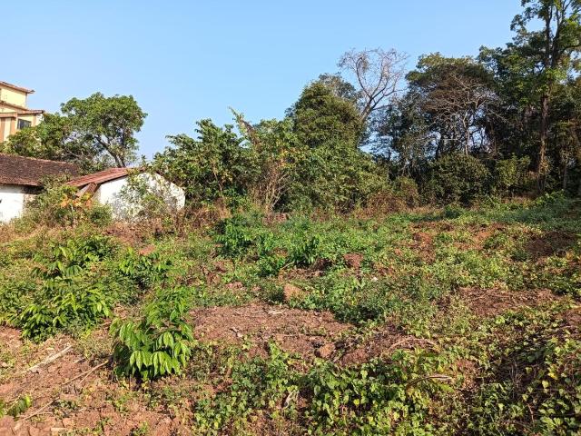 Land for sale in Mapuca, Goa