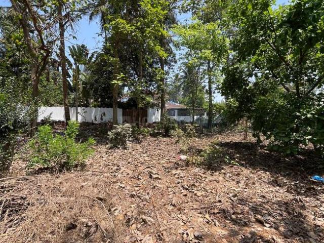 Land for sale in Mapuca, Goa