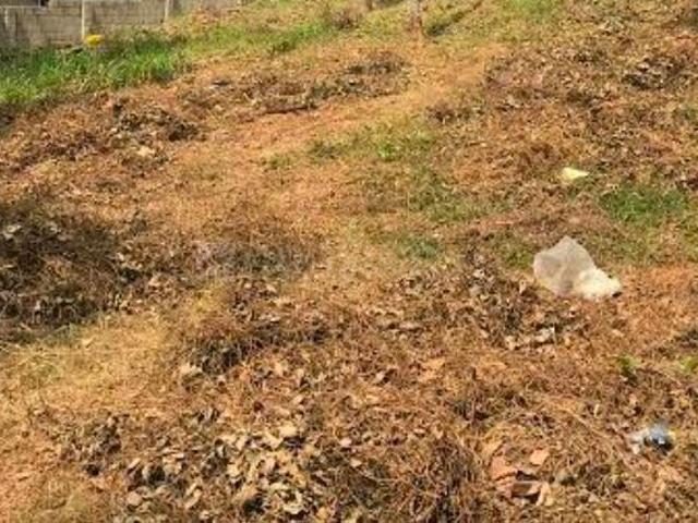 Land for sale in Thrippunithura, Kerala