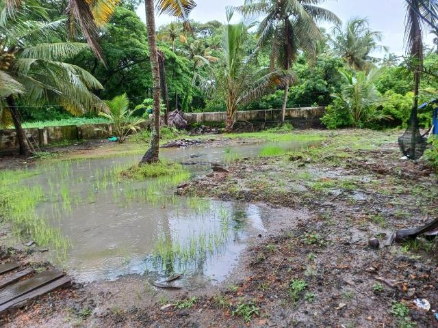 Land for sale in Cochin, Kerala