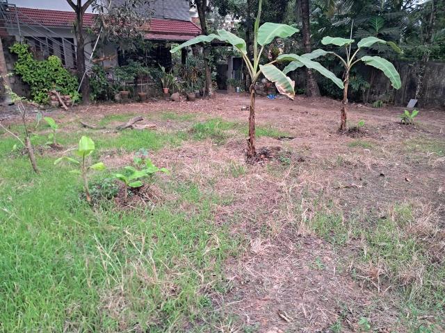 Land for sale in Cochin, Kerala