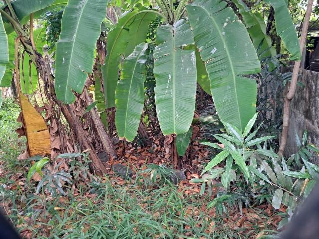 Land for sale in Cochin, Kerala