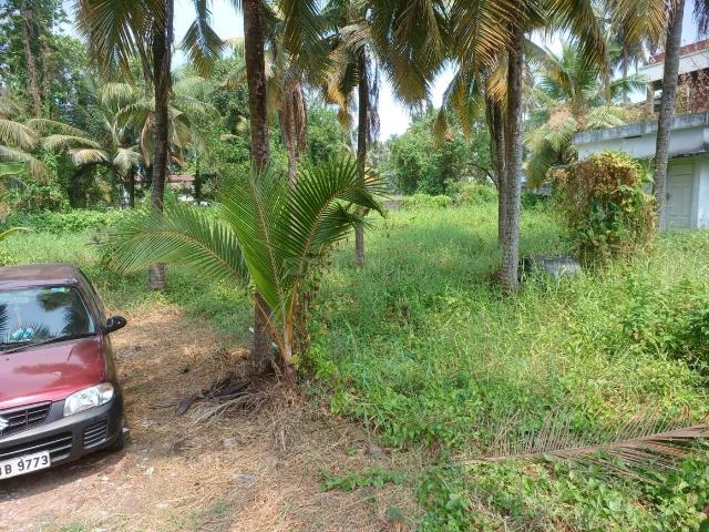 Land for sale in Cochin, Kerala