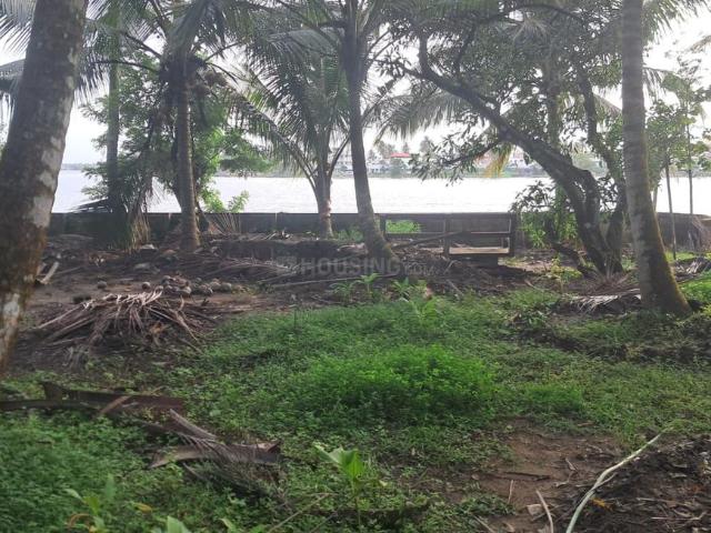 Land for sale in Ernakulam
