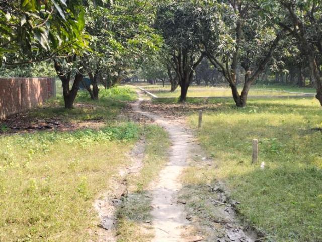 Land for sale in Bihar