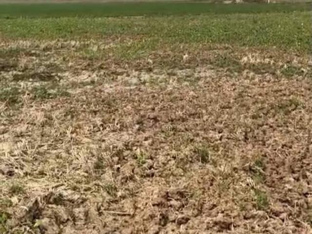 Land for sale in Bihar